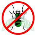 Anti virus graphics