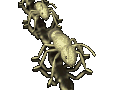 Ants graphics