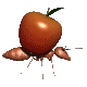 Ants graphics