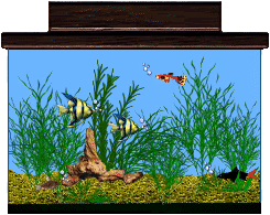 Aquarium graphics