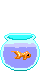 Aquarium graphics