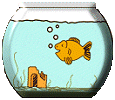 Aquarium graphics