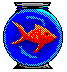 Aquarium graphics
