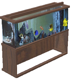 Aquarium graphics