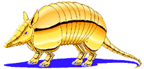 Armadillo graphics