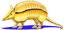 Armadillo