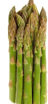Asparagus graphics