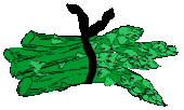 Asparagus graphics