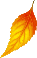 Autumn graphics
