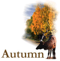 Autumn graphics