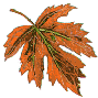 Autumn graphics