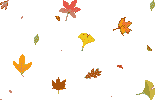 Autumn graphics