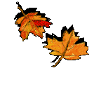 graphics-autumn-824102.gif