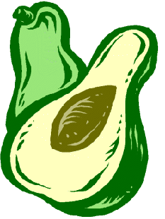 Avocado