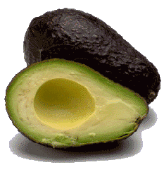 Avocado graphics