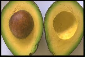 Avocado graphics