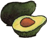 Avocado graphics