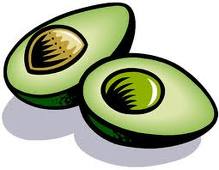 Avocado graphics