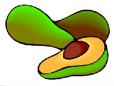 Avocado graphics