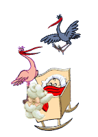 Babies graphics