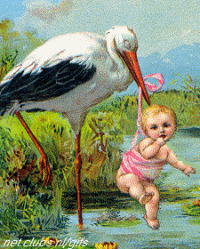Babies graphics