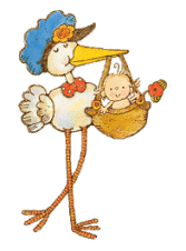 Babies graphics
