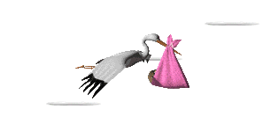Babies graphics