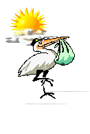 Babies graphics