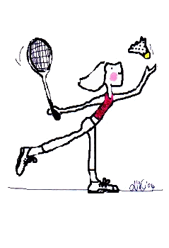 Badminton graphics