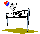 Badminton graphics