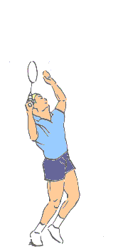 Badminton graphics