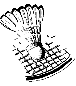 Badminton graphics