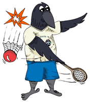 Badminton graphics