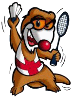 Badminton graphics