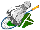 Badminton graphics
