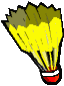 Badminton graphics