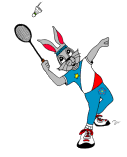 Badminton graphics