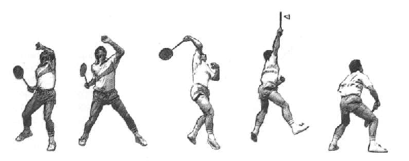 Badminton graphics