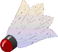 Badminton graphics