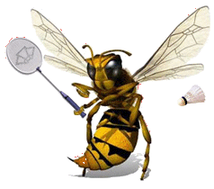 Badminton graphics