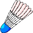Badminton graphics