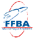 Badminton graphics