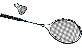 Badminton graphics