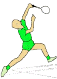 Badminton graphics
