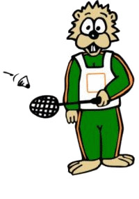 Badminton graphics