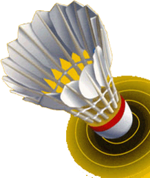 Badminton graphics