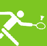 Badminton graphics