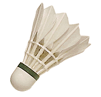Badminton graphics
