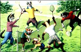 Badminton graphics
