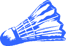 Badminton graphics